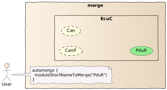 Auto merge with short name of module configuration